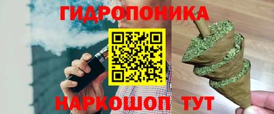 стаф Ливны