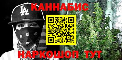 стаф Ливны