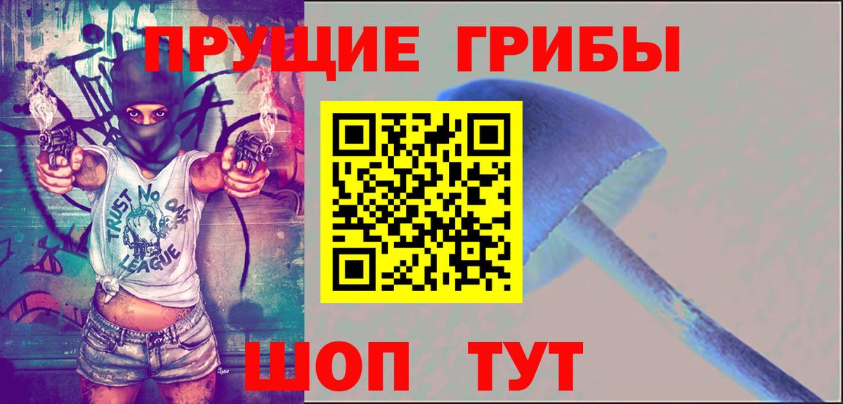 Псилоцибиновые грибы Psilocybe  Вход с VPN  Арсеньев 